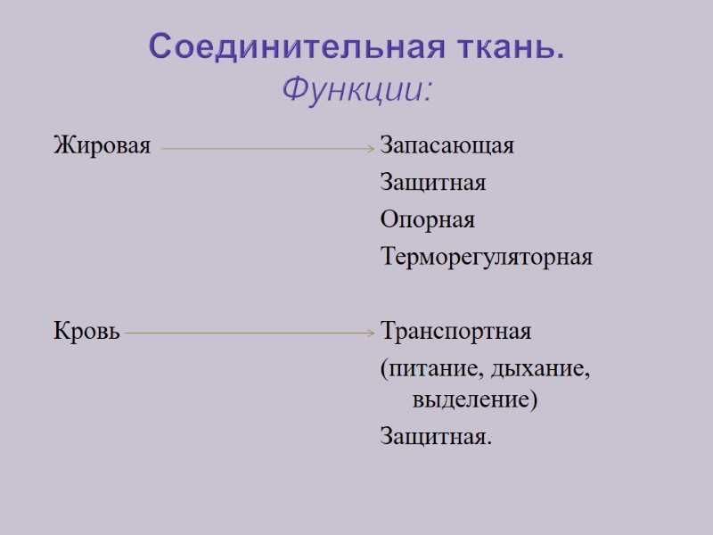 Соединительная ткань. Функции: Жировая      Кровь Запасающая Защитная Опорная Терморегуляторная